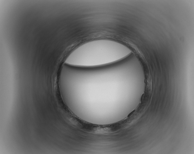 X0000116340403200912011022