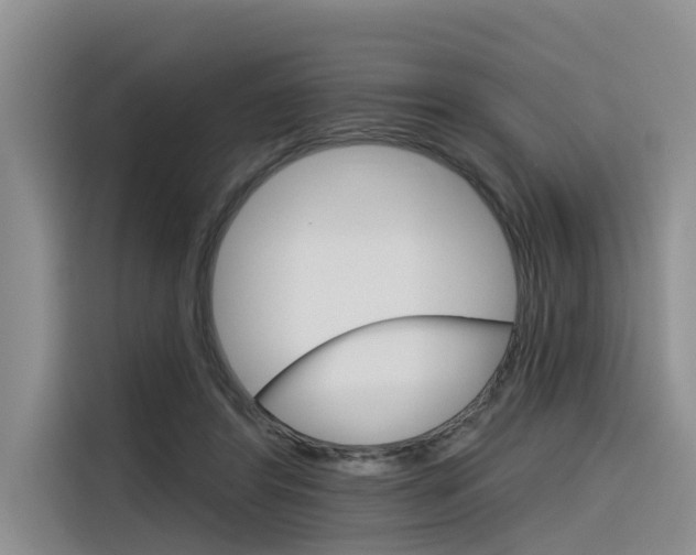 X0000116340404200912011022