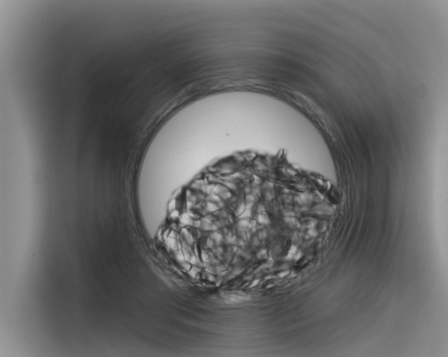 X0000116340405200912011022