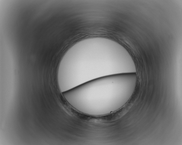 X0000116340408200912011022