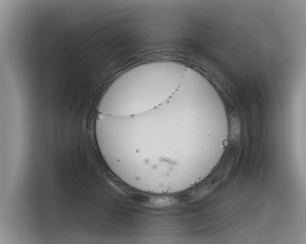 X0000116340414200912011022