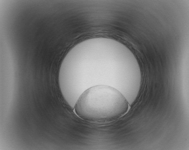 X0000116340417200912011022