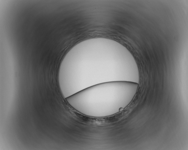 X0000116340420200912011022