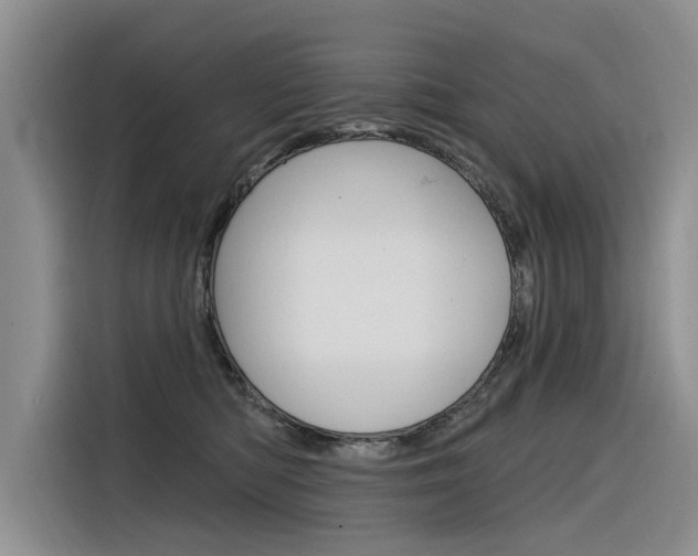 X0000116340422200912011022