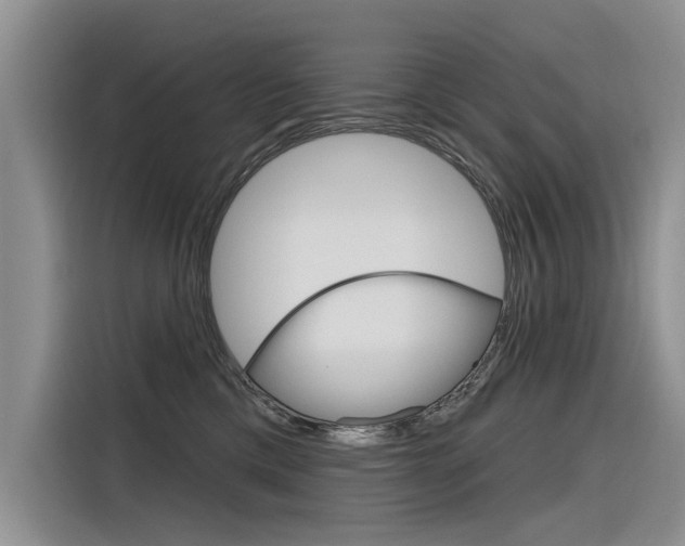 X0000116340425200912011022