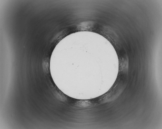 X0000116340427200912011022