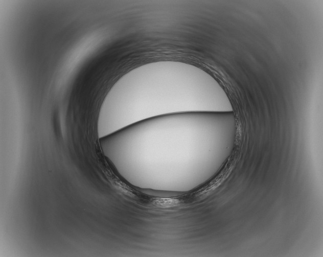 X0000116340429200912011022