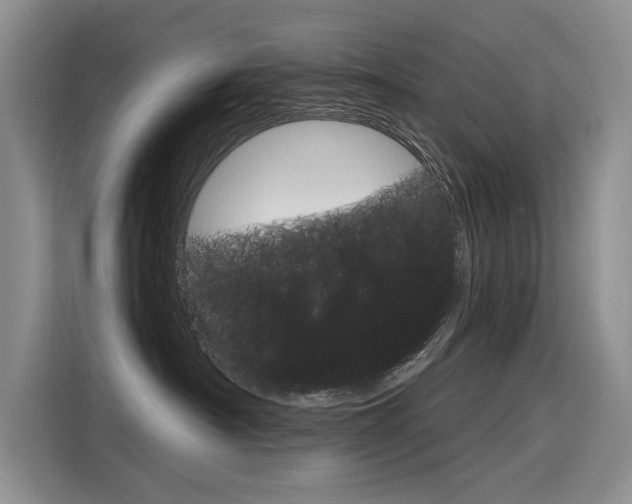 X0000116340430200912011022