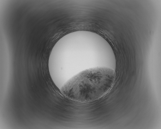 X0000116340432200912011022