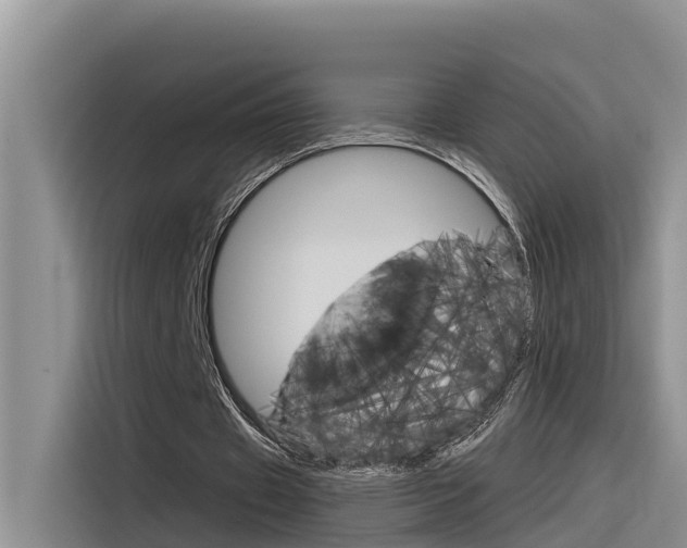 X0000116340433200912011021