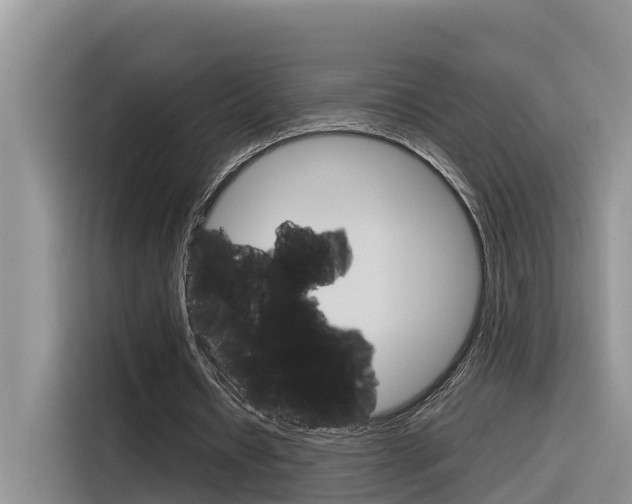 X0000116340434200912011021