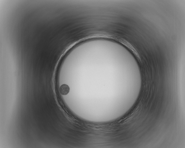 X0000116340436200912011021