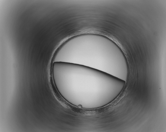X0000116340438200912011021
