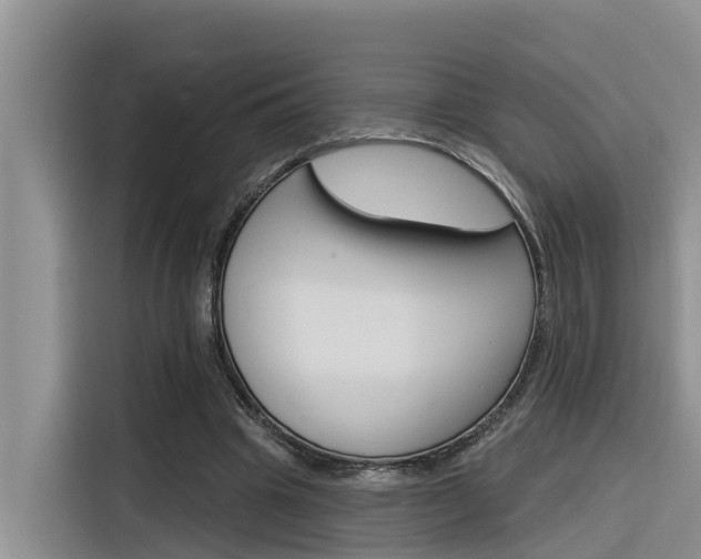 X0000116340441200912011021