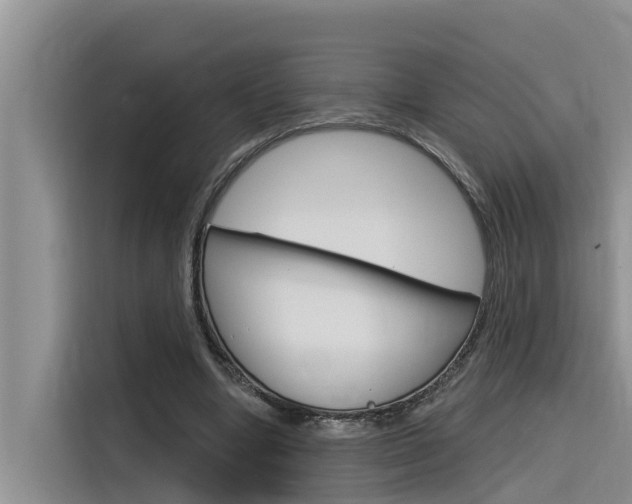 X0000116340442200912011021