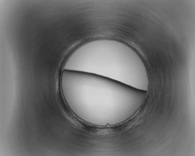 X0000116340446200912011021