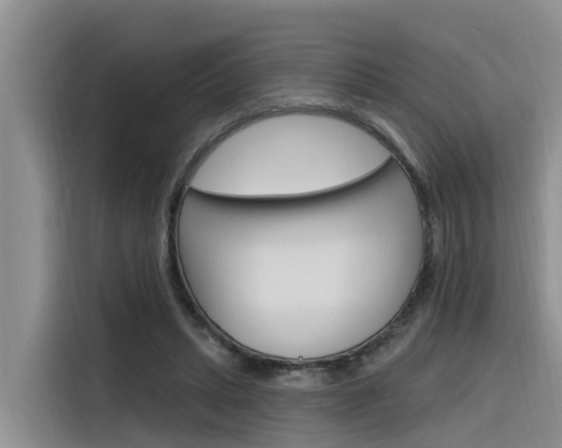 X0000116340447200912011021