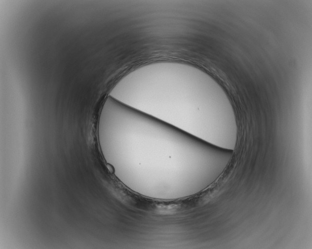X0000116340450200912011021