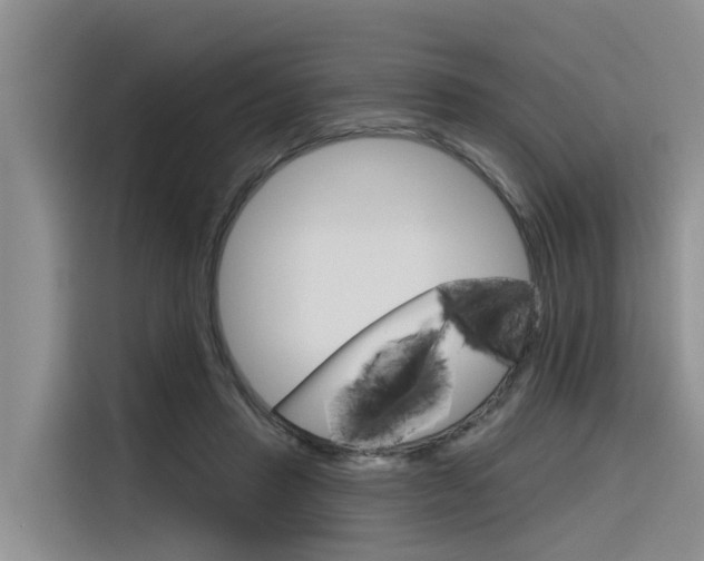X0000116340453200912011022