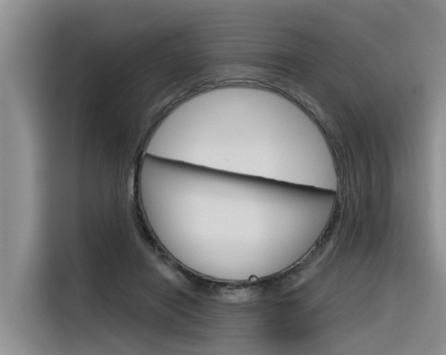 X0000116340454200912011022