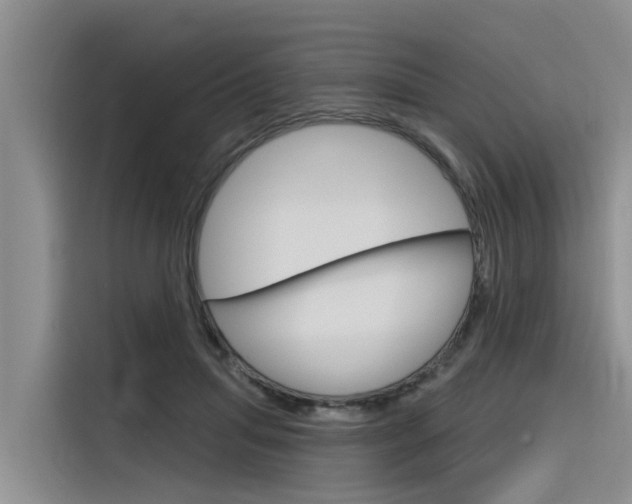 X0000116340455200912011022