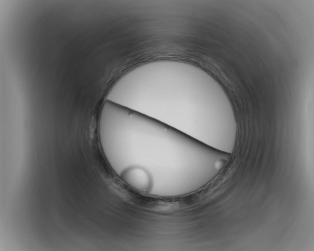 X0000116340458200912011022