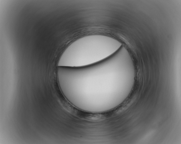X0000116340459200912011022