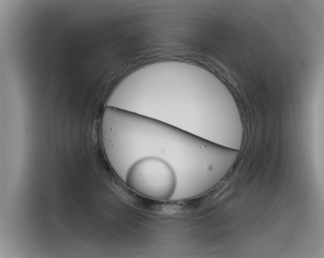 X0000116340462200912011022