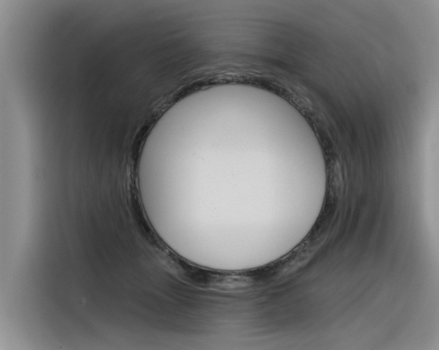 X0000116340463200912011022