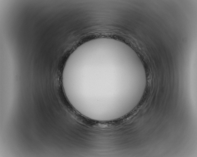 X0000116340464200912011022