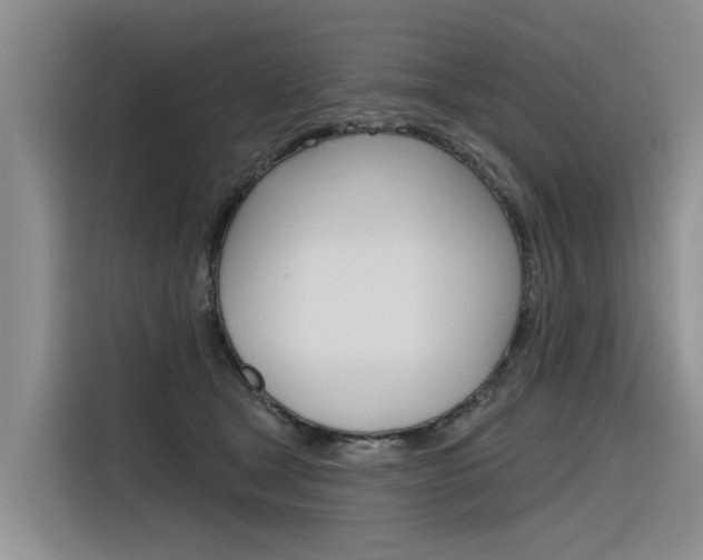 X0000116340465200912011022