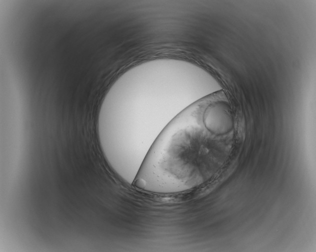 X0000116340467200912011022