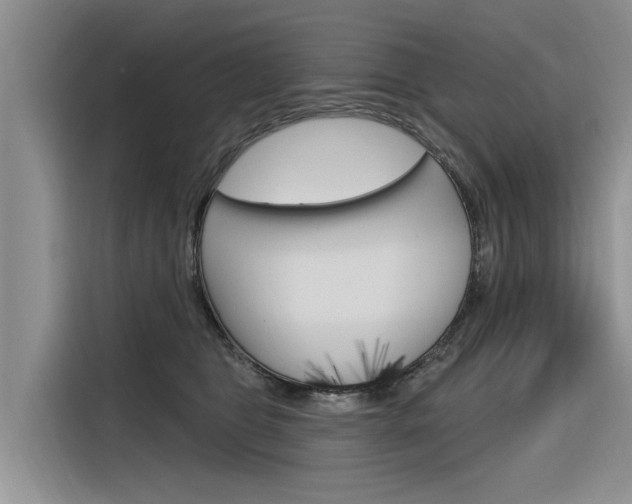 X0000116340469200912011022