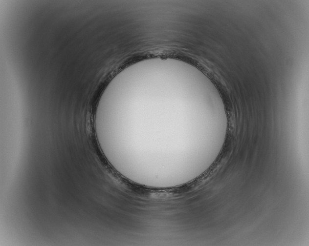 X0000116340470200912011022