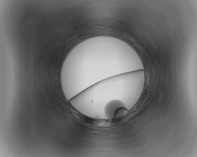 X0000116340471200912011022