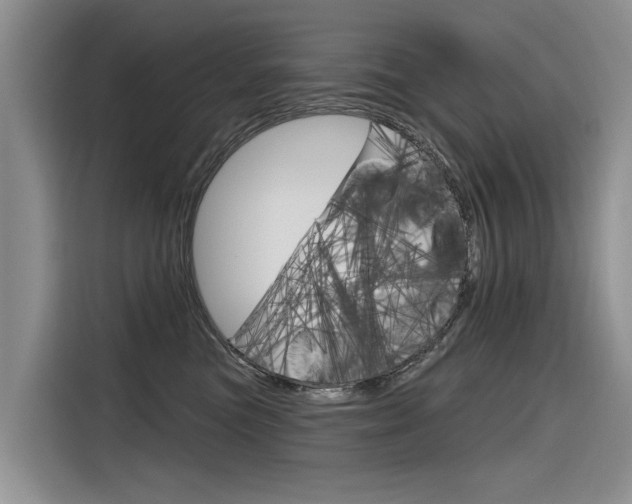 X0000116340473200912011022