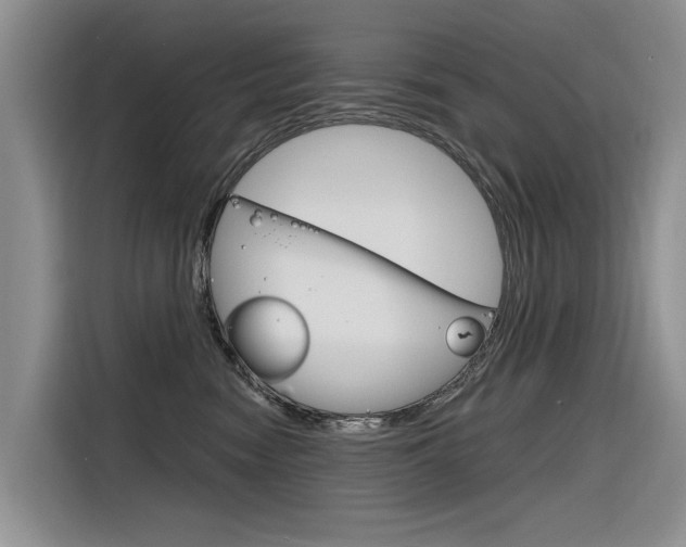 X0000116340474200912011022