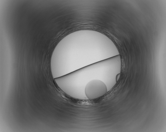 X0000116340475200912011022