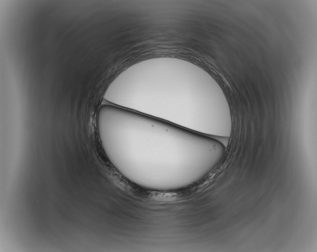 X0000116340476200912011022