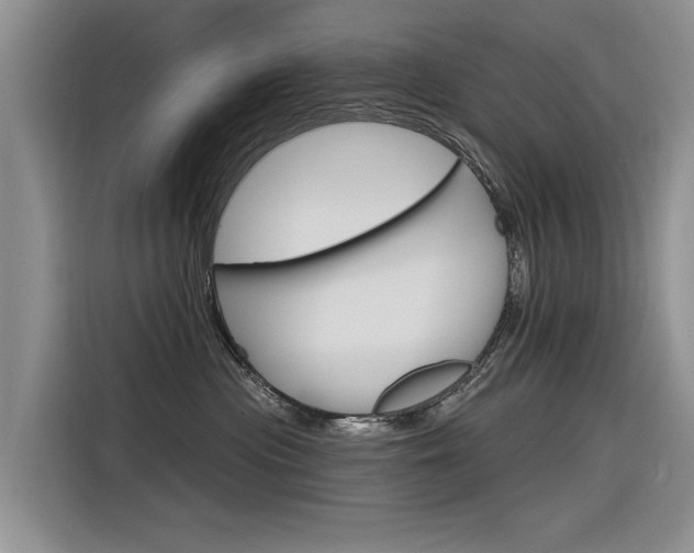X0000116340477200912011022