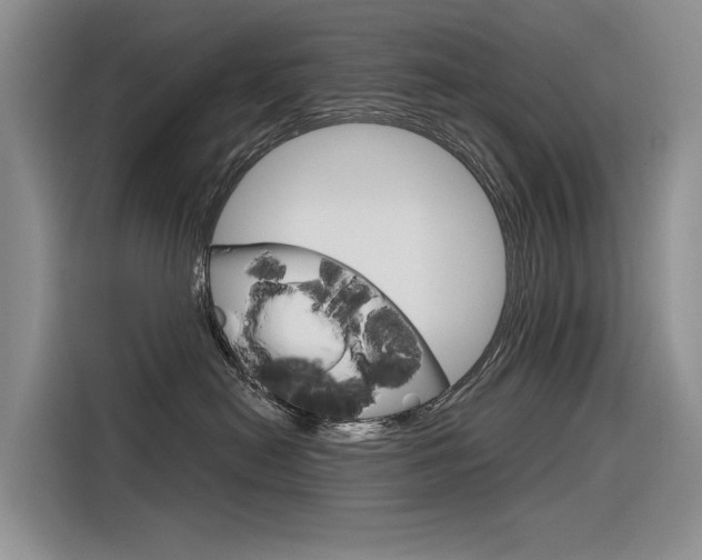 X0000116340478200912011022