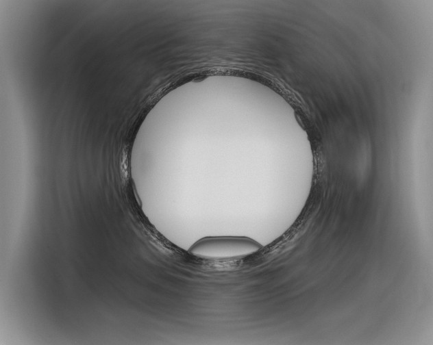 X0000116340479200912011022