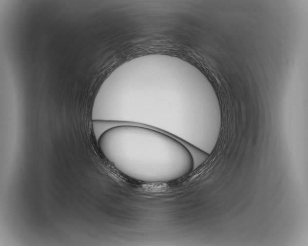 X0000116340480200912011022