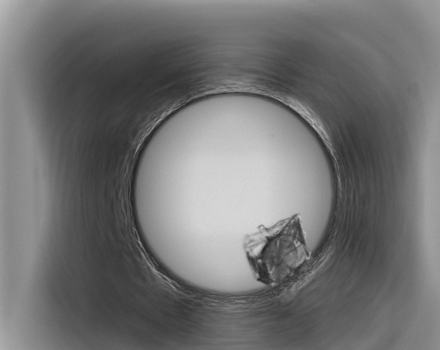 X0000116340481200912011021