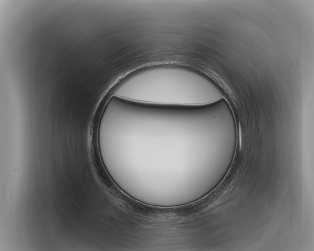 X0000116340483200912011021