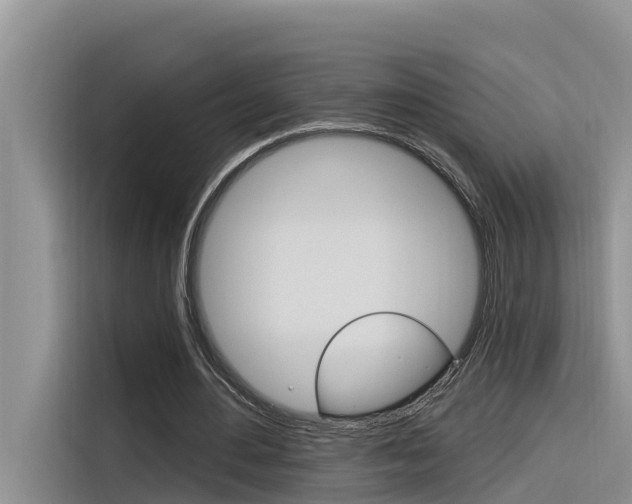 X0000116340484200912011021