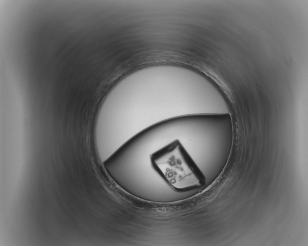 X0000116340489200912011021