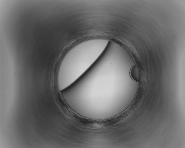 X0000116340496200912011021