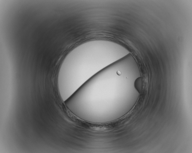 X0000116340500200912011021