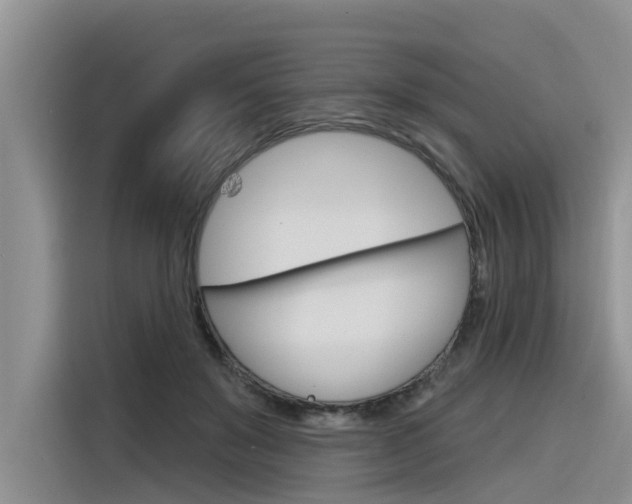 X0000116340503200912011021